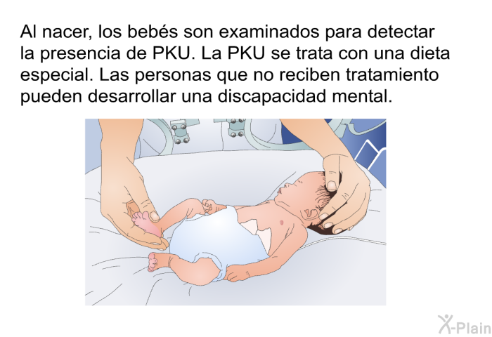 Al nacer, los bebs son examinados para detectar la presencia de PKU. La PKU se trata con una dieta especial. Las personas que no reciben tratamiento pueden desarrollar una discapacidad mental.