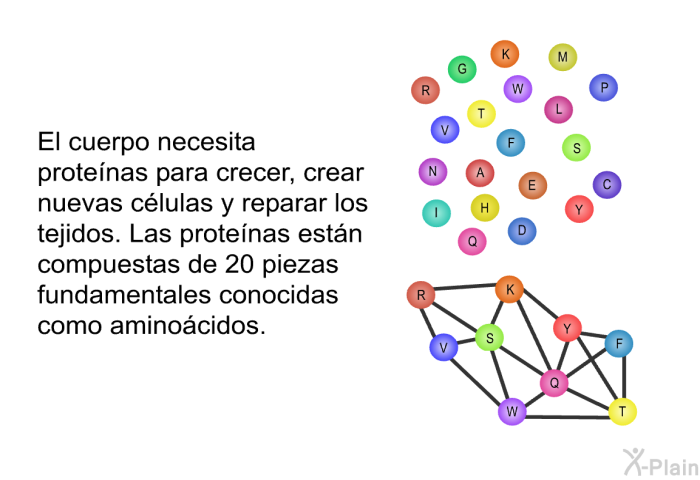 El cuerpo necesita protenas para crecer, crear nuevas clulas y reparar los tejidos. Las protenas estn compuestas de 20 piezas fundamentales conocidas como aminocidos.