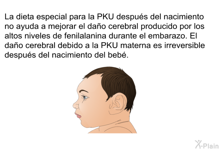 La dieta especial para la PKU despu�s del nacimiento no ayuda a mejorar el da�o cerebral producido por los altos niveles de fenilalanina durante el embarazo. El da�o cerebral debido a la PKU materna es irreversible despu�s del nacimiento del beb�.