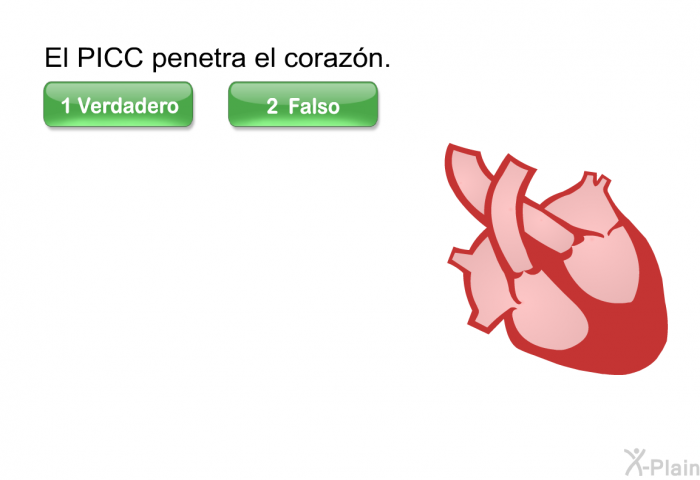 El PICC penetra el corazn.