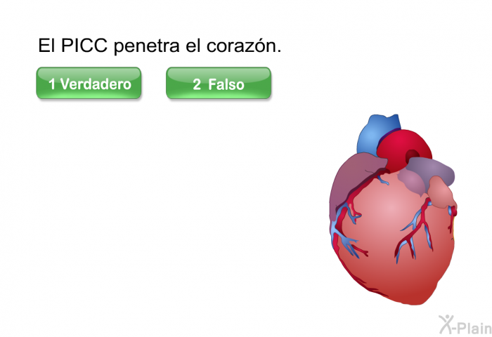 El PICC penetra el corazn.