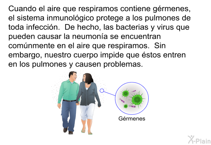 Cuando el aire que respiramos contiene grmenes, el sistema inmunolgico protege a los pulmones de toda infeccin. De hecho, las bacterias y virus que pueden causar la neumona se encuentran comnmente en el aire que respiramos. Sin embargo, nuestro cuerpo impide que stos entren en los pulmones y causen problemas.