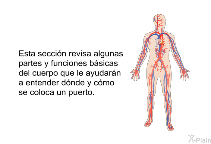 Esta seccin revisa algunas partes y funciones bsicas del cuerpo que le ayudarn a entender dnde y cmo se coloca un puerto.