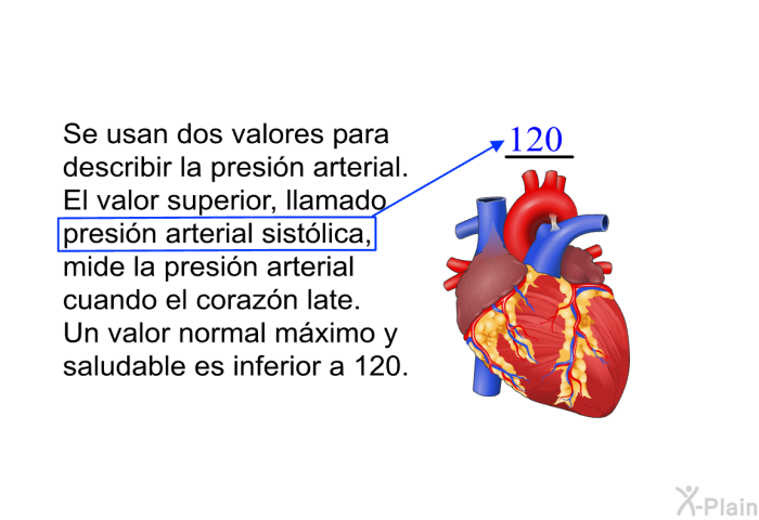 Se usan dos valores para describir la presin arterial. El valor superior, llamado presin arterial sistlica, mide la presin arterial cuando el corazn late. Un valor normal mximo y saludable es inferior a 120.