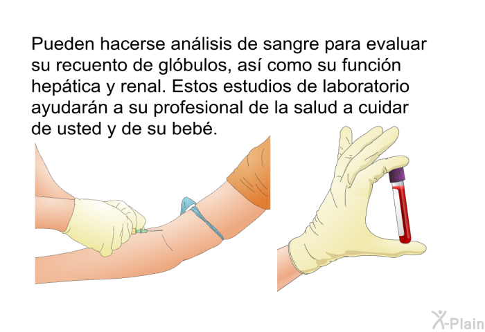 Pueden hacerse an�lisis de sangre para evaluar su recuento de gl�bulos, as� como su funci�n hep�tica y renal. Estos estudios de laboratorio ayudar�n a su profesional de la salud a cuidar de usted y de su beb�.
