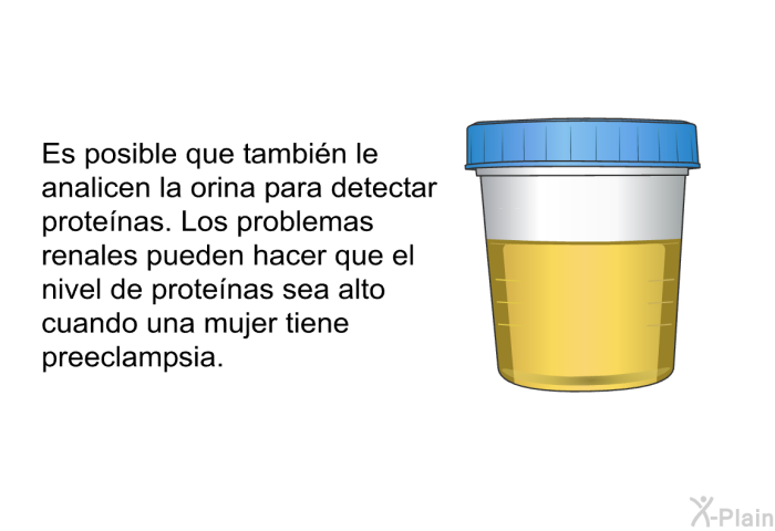 Es posible que tambi�n le analicen la orina para detectar prote�nas. Los problemas renales pueden hacer que el nivel de prote�nas sea alto cuando una mujer tiene preeclampsia.