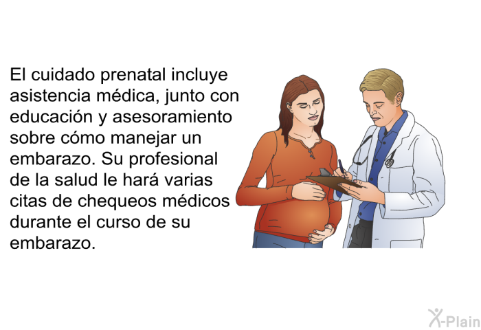 El cuidado prenatal incluye asistencia mdica, junto con educacin y asesoramiento sobre cmo manejar un embarazo. Su profesional de la salud le har varias citas de chequeos mdicos durante el curso de su embarazo.