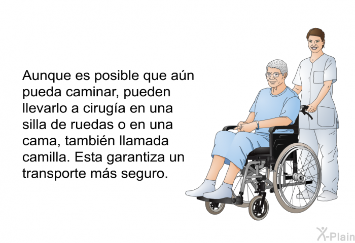Aunque es posible que a�n pueda caminar, pueden llevarlo a cirug�a en una silla de ruedas o en una cama, tambi�n llamada camilla. Esta garantiza un transporte m�s seguro.