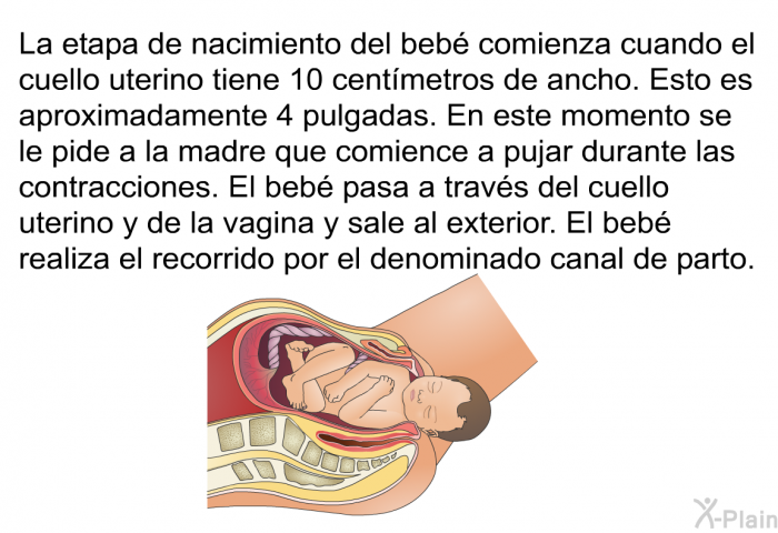 La etapa de nacimiento del beb comienza cuando el cuello uterino tiene 10 centmetros de ancho. Esto es aproximadamente 4 pulgadas. En este momento se le pide a la madre que comience a pujar durante las contracciones. El beb pasa a travs del cuello uterino y de la vagina y sale al exterior. El beb realiza el recorrido por el denominado canal de parto.