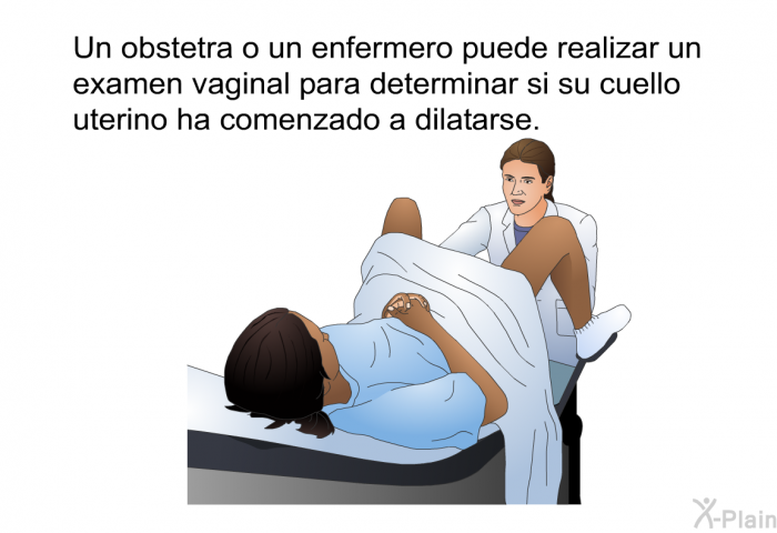 Un obstetra o un enfermero puede realizar un examen vaginal para determinar si su cuello uterino ha comenzado a dilatarse.