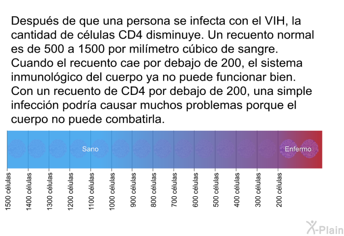 Despus de que una persona se infecta con el VIH, la cantidad de clulas CD4 disminuye. Un recuento normal es de 500 a 1500 por milmetro cbico de sangre. Cuando el recuento cae por debajo de 200, el sistema inmunolgico del cuerpo ya no puede funcionar bien. Con un recuento de CD4 por debajo de 200, una simple infeccin podra causar muchos problemas porque el cuerpo no puede combatirla.