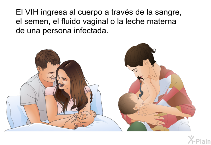 El VIH ingresa al cuerpo a travs de la sangre, el semen, el fluido vaginal o la leche materna de una persona infectada.