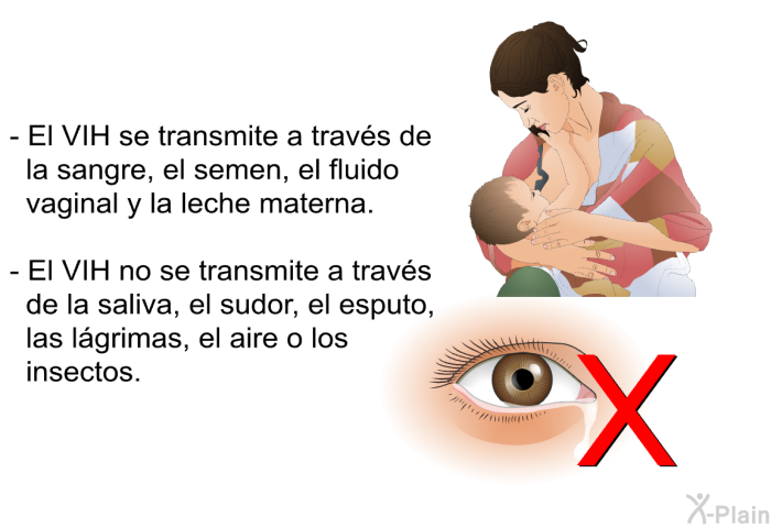 El VIH se transmite a travs de la sangre, el semen, el fluido vaginal y la leche materna. El VIH no se transmite a travs de la saliva, el sudor, el esputo, las lgrimas, el aire o los insectos.