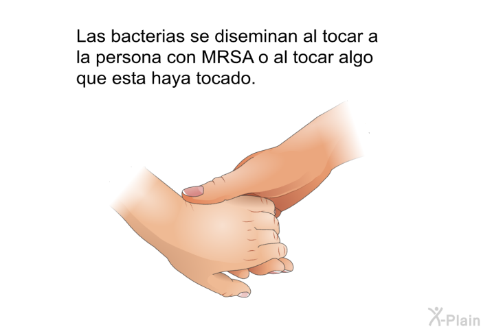Las bacterias se diseminan al tocar a la persona con MRSA o al tocar algo que esta haya tocado.