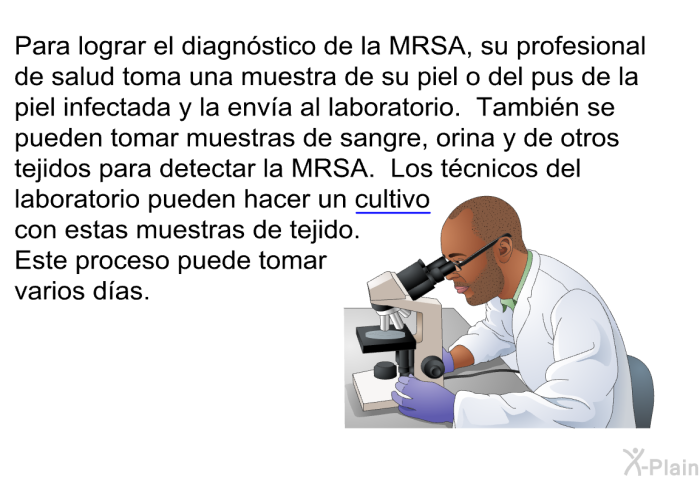 Para lograr el diagnstico de la MRSA, su profesional de salud toma una muestra de su piel o del pus de la piel infectada y la enva al laboratorio. Tambin se pueden tomar muestras de sangre, orina y de otros tejidos para detectar la MRSA. Los tcnicos del laboratorio pueden hacer un cultivo con estas muestras de tejido. Este proceso puede tomar varios das.