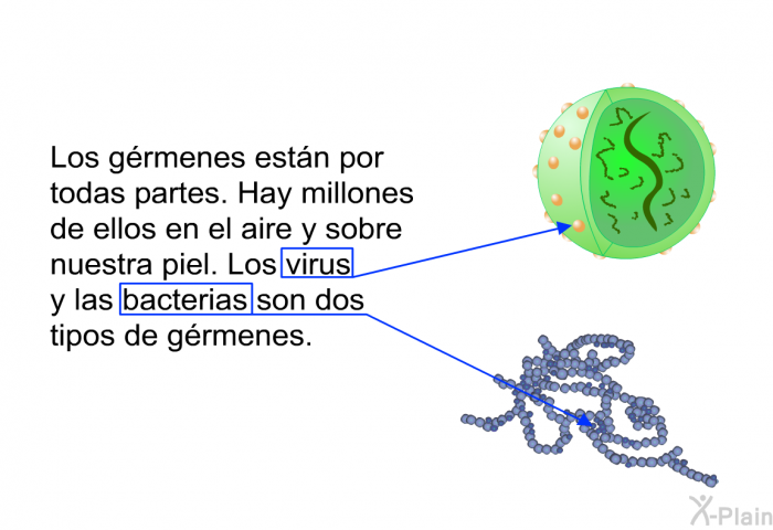 Los grmenes estn por todas partes. Hay millones de ellos en el aire y sobre nuestra piel. Los virus y las bacterias son dos tipos de grmenes.