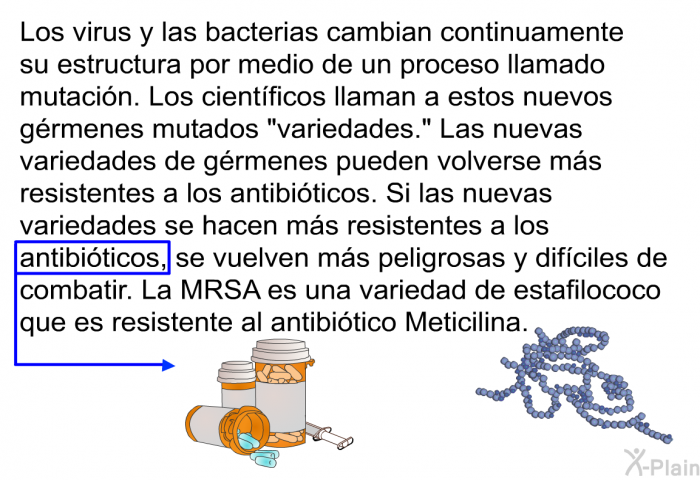 Los virus y las bacterias cambian continuamente su estructura por medio de un proceso llamado mutacin. Los cientficos llaman a estos nuevos grmenes mutados “variedades.” Las nuevas variedades de grmenes pueden volverse ms resistentes a los antibiticos. Si las nuevas variedades se hacen ms resistentes a los antibiticos, se vuelven ms peligrosas y difciles de combatir. La MRSA es una variedad de estafilococo que es resistente al antibitico Meticilina.