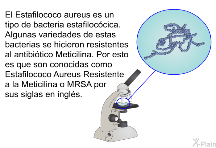 El<I> Estafilococo aureus</I> es un tipo de bacteria estafiloccica. Algunas variedades de estas bacterias se hicieron resistentes al antibitico Meticilina. Por esto es que son conocidas como Estafilococo Aureus Resistente a la Meticilina o MRSA por sus siglas en ingls.