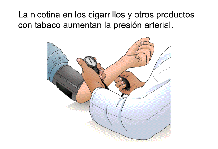 La nicotina en los cigarrillos y otros productos con tabaco aumentan la presi�n arterial.