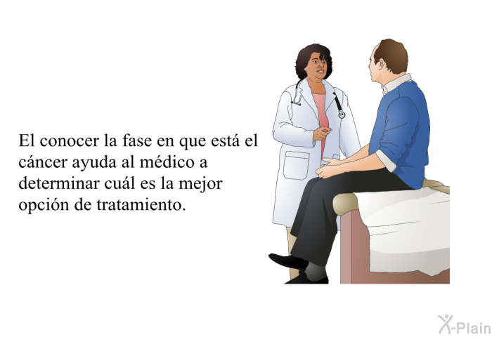 El conocer la fase en que est� el c�ncer ayuda al m�dico a determinar cu�l es la mejor opci�n de tratamiento.