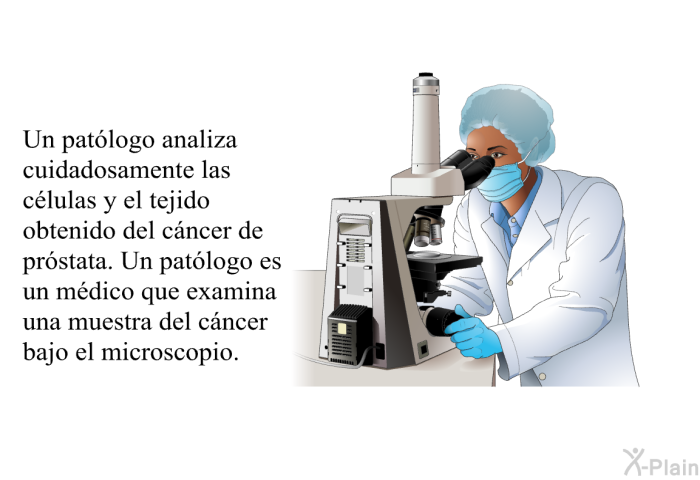 Un pat�logo analiza cuidadosamente las c�lulas y el tejido obtenido del c�ncer de pr�stata. Un pat�logo es un m�dico que examina una muestra del c�ncer bajo el microscopio.