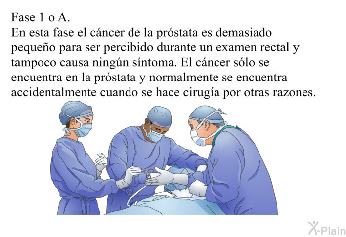 Fase 1 o A. En esta fase el c�ncer de la pr�stata es demasiado peque�o para ser percibido durante un examen rectal y tampoco causa ning�n s�ntoma. El c�ncer s�lo se encuentra en la pr�stata y normalmente se encuentra accidentalmente cuando se hace cirug�a por otras razones.