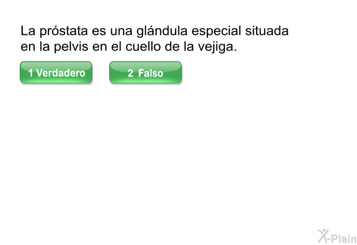 La prstata es una glndula especial situada en la pelvis en el cuello de la vejiga.