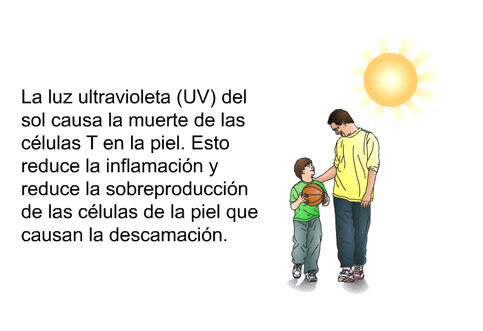 La luz ultravioleta (UV) del sol causa la muerte de las c�lulas T en la piel. Esto reduce la inflamaci�n y reduce la sobreproducci�n de las c�lulas de la piel que causan la descamaci�n.&nbsp;