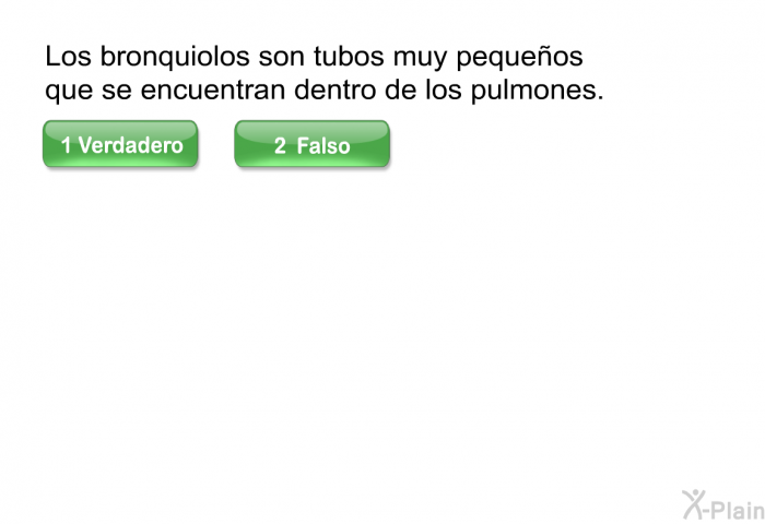 Los bronquiolos son tubos muy pequeos que se encuentran dentro de los pulmones.