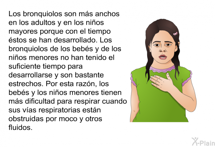 Los bronquiolos son ms anchos en los adultos y en los nios mayores porque con el tiempo stos se han desarrollado. Los bronquiolos de los bebs y de los nios menores no han tenido el suficiente tiempo para desarrollarse y son bastante estrechos. Por esta razn, los bebs y los nios menores tienen ms dificultad para respirar cuando sus vas respiratorias estn obstruidas por moco y otros fluidos.