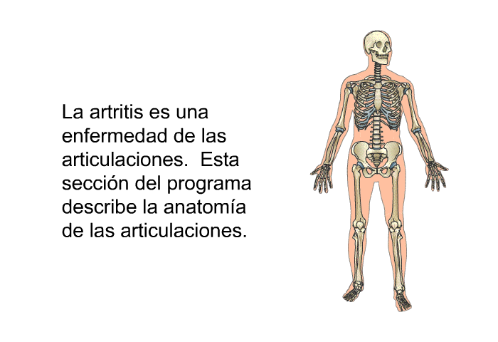 La artritis es una enfermedad de las articulaciones. Esta seccin del programa describe la anatoma de las articulaciones.