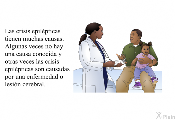 Las crisis epilpticas tienen muchas causas. Algunas veces no hay una causa conocida y otras veces las crisis epilpticas son causadas por una enfermedad o lesin cerebral.