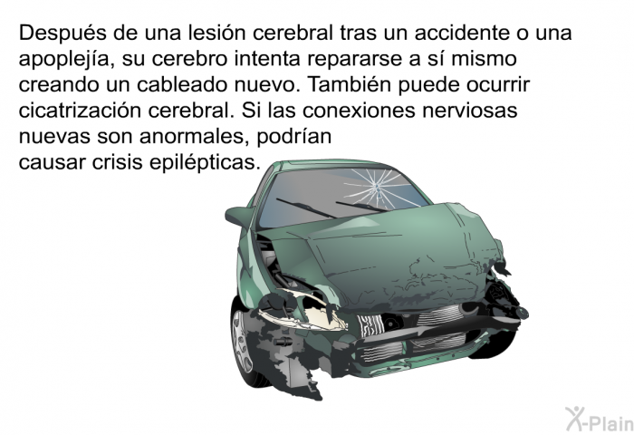 Despus de una lesin cerebral tras un accidente o una apopleja, su cerebro intenta repararse a s mismo creando un cableado nuevo. Tambin puede ocurrir cicatrizacin cerebral. Si las conexiones nerviosas nuevas son anormales, podran causar crisis epilpticas.