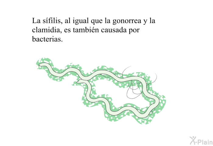 La s�filis, al igual que la gonorrea y la clamidia, es tambi�n causada por bacterias.
