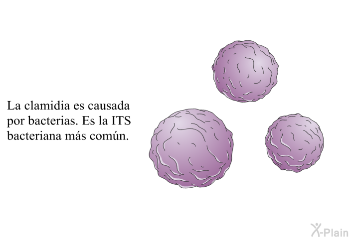 La clamidia es causada por bacterias. Es la ITS bacteriana m�s com�n.