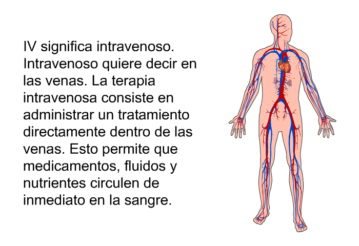 IV significa intravenoso. Intravenoso quiere decir <I>en las venas</I>. La terapia intravenosa consiste en administrar un tratamiento directamente dentro de las venas. Esto permite que medicamentos, fluidos y nutrientes circulen de inmediato en la sangre.