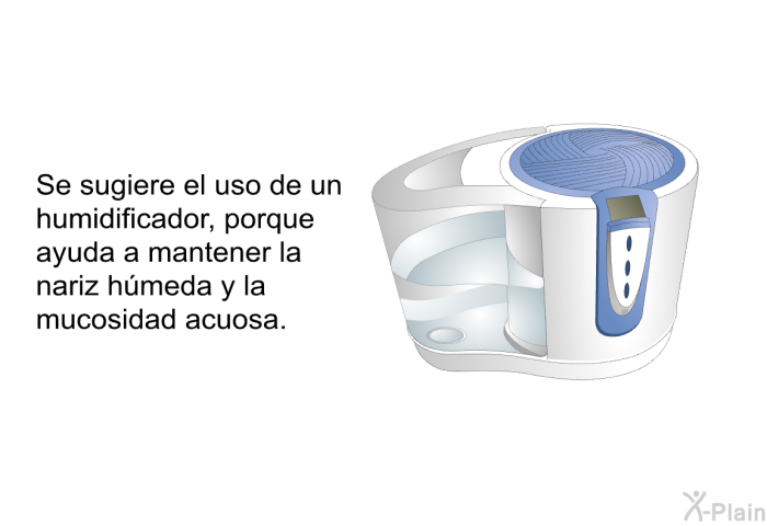 Se sugiere el uso de un humidificador, porque ayuda a mantener la nariz hmeda y la mucosidad acuosa.