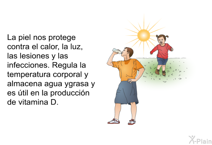 La piel nos protege contra el calor, la luz, las lesiones y las infecciones. Regula la temperatura corporal y almacena agua ygrasa y es til en la produccin de vitamina D.