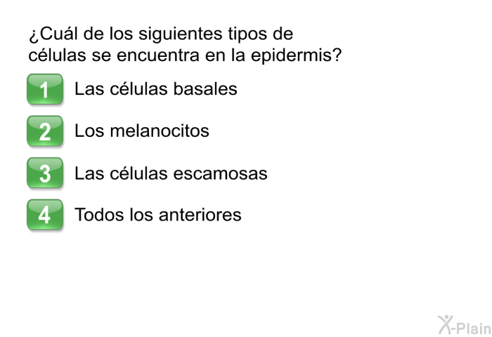 ¿Cul de los siguientes tipos de clulas se encuentra en la epidermis?  Las clulas basales. Los melanocitos. Las clulas escamosas. Todos los anteriores