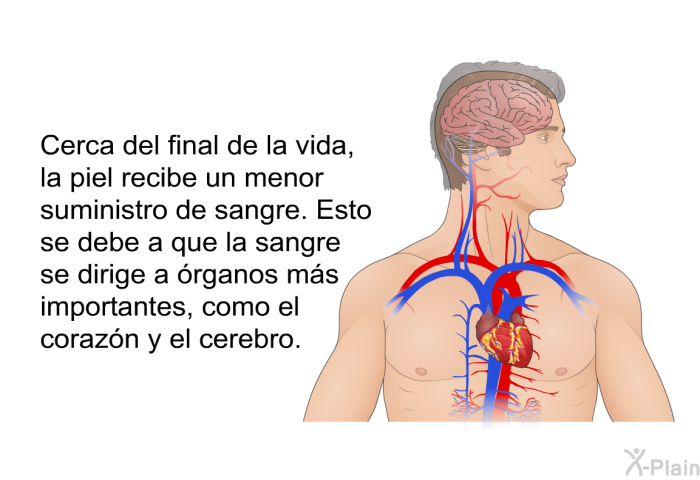 Cerca del final de la vida, la piel recibe un menor suministro de sangre. Esto se debe a que la sangre se dirige a rganos ms importantes, como el corazn y el cerebro.