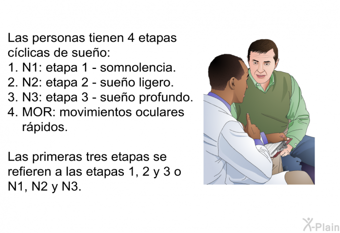 Las personas tienen 4 etapas cclicas de sueo:  N1: etapa 1 - somnolencia. N2: etapa 2 - sueo ligero. N3: etapa 3 - sueo profundo. MOR: movimientos oculares rpidos.  
 Las primeras tres etapas se refieren a las etapas 1, 2 y 3 o N1, N2 y N3.