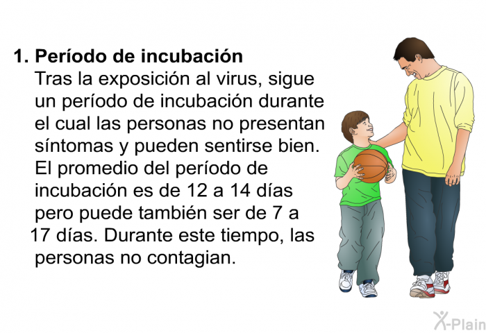 Perodo de incubacin.  
 Tras la exposicin al virus, sigue un perodo de incubacin durante el cual las personas no presentan sntomas y pueden sentirse bien. El promedio del perodo de incubacin es de 12 a 14 das pero puede tambin ser de 7 a 17 das. Durante este tiempo, las personas no contagian.