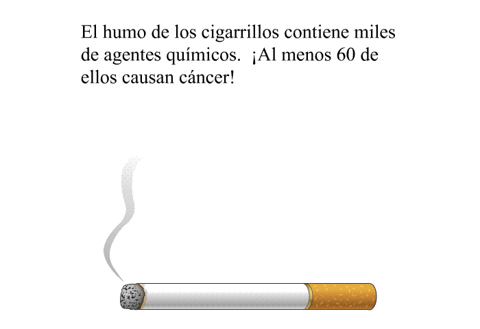 El humo de los cigarrillos contiene miles de agentes qumicos. ¡Al menos 60 de ellos causan cncer!