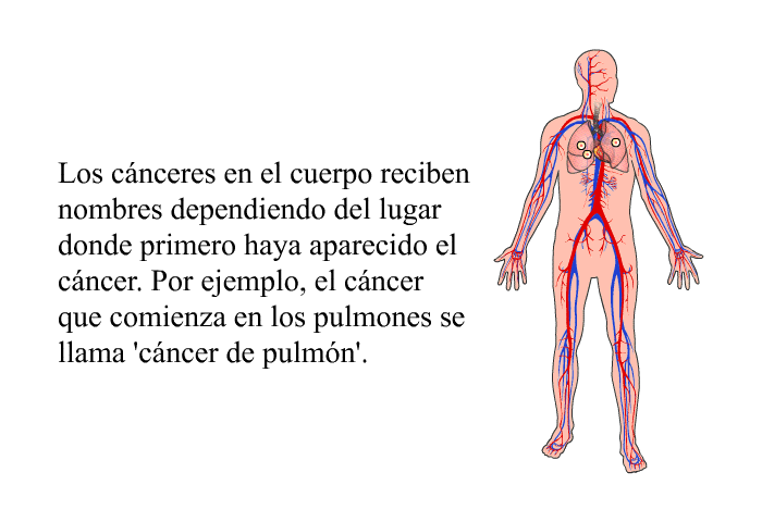 Los cnceres en el cuerpo reciben nombres dependiendo del lugar donde primero haya aparecido el cncer. Por ejemplo, el cncer que comienza en los pulmones se llama  cncer de pulmn'.