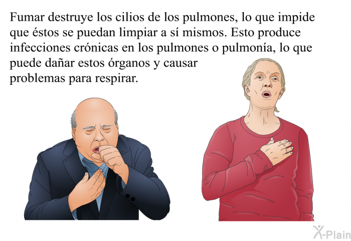 Fumar destruye los cilios de los pulmones, lo que impide que �stos se puedan limpiar a s� mismos. Esto produce infecciones cr�nicas en los pulmones o pulmon�a, lo que puede da�ar estos �rganos y causar problemas para respirar.