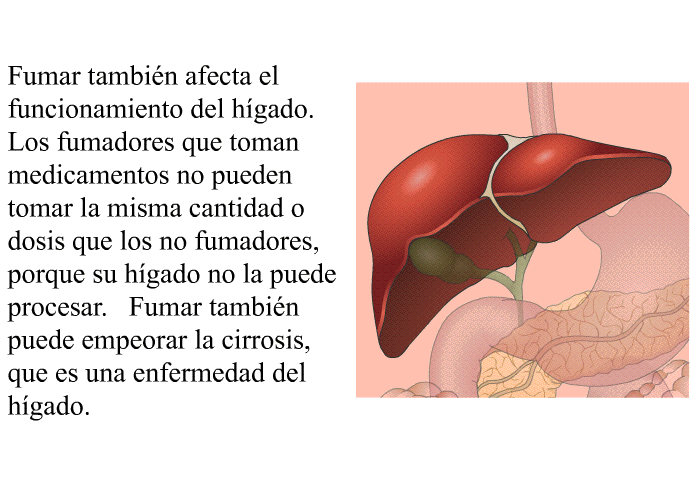 Fumar tambin afecta el funcionamiento del hgado. Los fumadores que toman medicamentos no pueden tomar la misma cantidad o dosis que los no fumadores, porque su hgado no la puede procesar. Fumar tambin puede empeorar la cirrosis, que es una enfermedad del hgado.