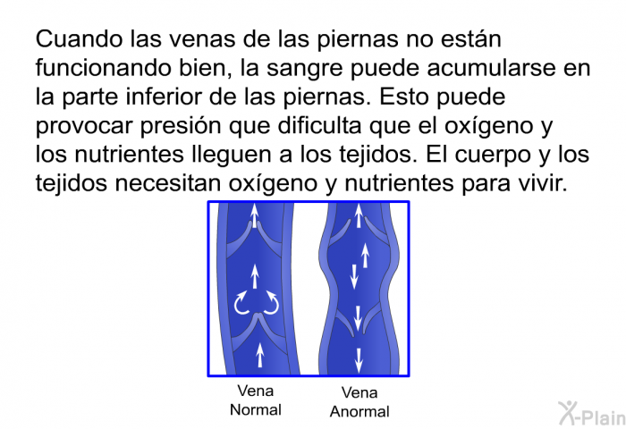 Cuando las venas de las piernas no estn funcionando bien, la sangre puede acumularse en la parte inferior de las piernas. Esto puede provocar presin que dificulta que el oxgeno y los nutrientes lleguen a los tejidos. El cuerpo y los tejidos necesitan oxgeno y nutrientes para vivir.