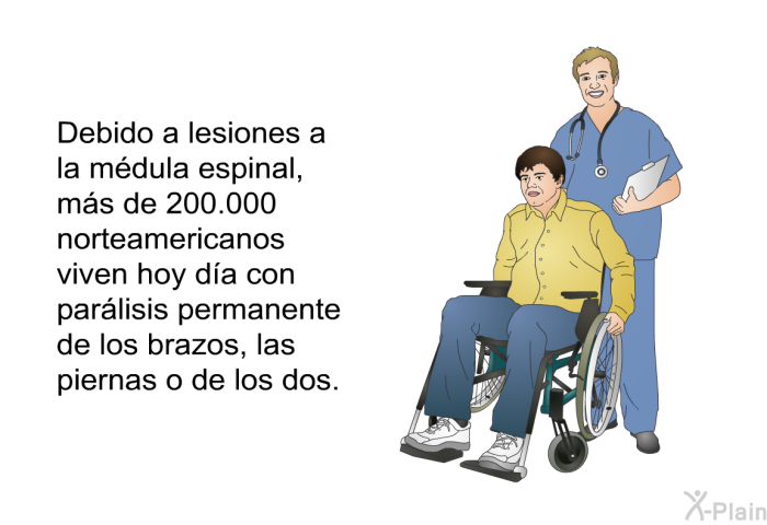 Debido a lesiones a la mdula espinal, ms de 200.000 norteamericanos viven hoy da con parlisis permanente de los brazos, las piernas o de los dos.