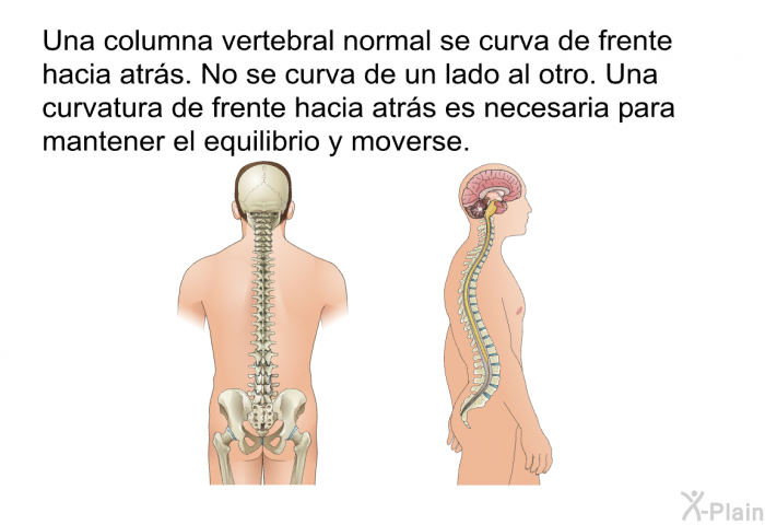 Una columna vertebral normal se curva de frente hacia atrs. No se curva de un lado al otro. Una curvatura de frente hacia atrs es necesaria para mantener el equilibrio y moverse.