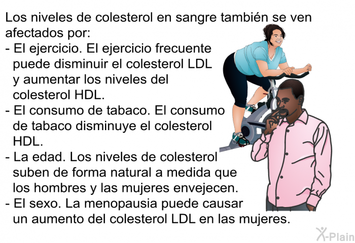 Los niveles de colesterol en sangre tambin se ven afectados por:  El ejercicio. El ejercicio frecuente puede disminuir el colesterol LDL y aumentar los niveles del colesterol HDL. El consumo de tabaco. El consumo de tabaco disminuye el colesterol HDL. La edad. Los niveles de colesterol suben de forma natural a medida que los hombres y las mujeres envejecen. El sexo. La menopausia puede causar un aumento del colesterol LDL en las mujeres.